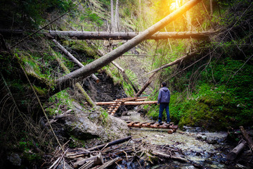 Man standing on the path through fallen trees