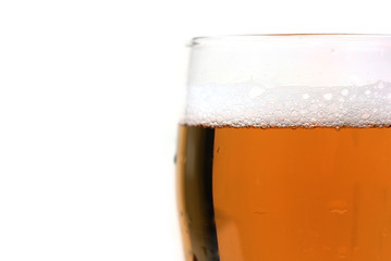 glass of beer close up
