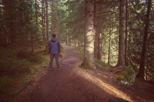 Vintage style image of man standing at the forest path