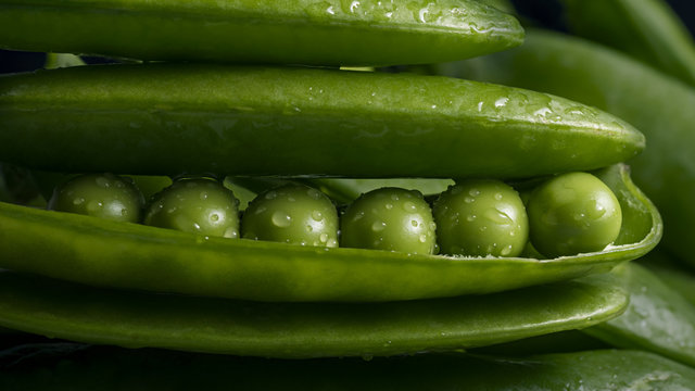 The image of fresh pea pod covered with water droplets, close-up