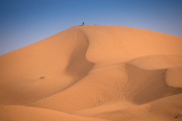 Fototapeta na wymiar Dunes, Morocco, Sahara Desert