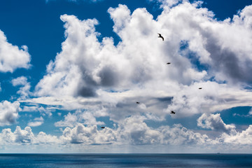 Dramatic Clouds with flying seagulls above deep blue sea