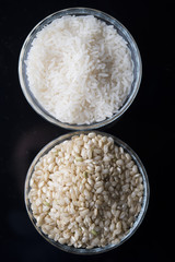 rice bowl