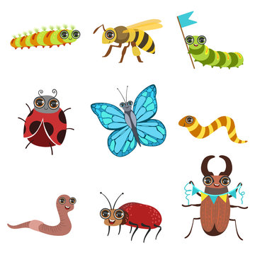 Insect Cartoon Images Set