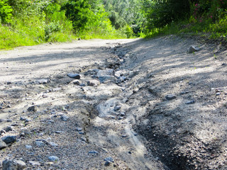 gravel road in the forest