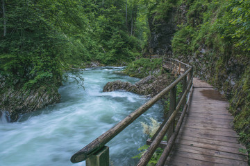 Flowing river. Vintgar Gorge, Slovenia