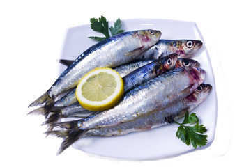 fish, sardines dish
