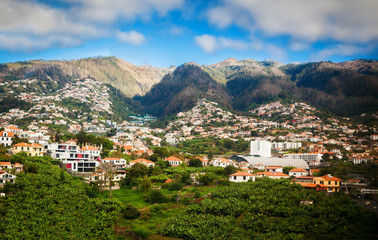 Fototapeta na wymiar small white houses in the Funchal's suburbs