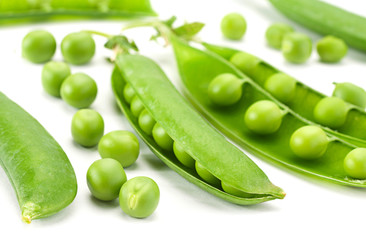 Young grean peas on white