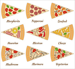 Set of pizza pieces. Vector illustration.