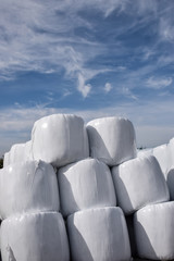 Stack of hay bales wrapped in white plastic on a sunny day