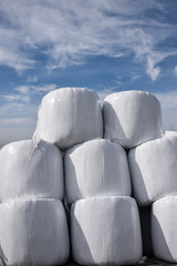 Stack of hay bales wrapped in white plastic on a sunny day
