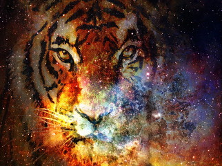 original art, mixed media painting of celestial tiger