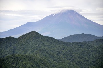 Fototapeta na wymiar 大室山からの夏の富士山