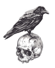 Crow on Skull - 113885433