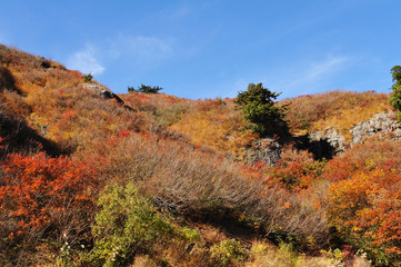 白山ホワイトロード