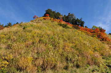 白山ホワイトロード