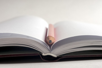 Close-up of open book and pen.