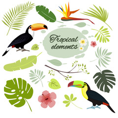 Tropical elements set, flat design. vector illustration © lilam8