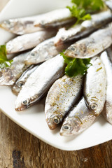 Black Sea sprat
