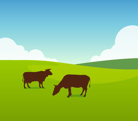 Cows on Green Field Pasture