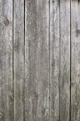 The old wood texture with natural patterns