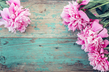 Background with pink peonies on the old boards with shabby blue