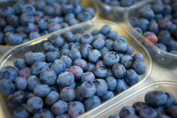 Vaschette di mirtilli