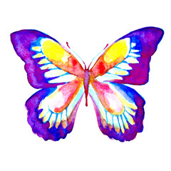 butterflies design