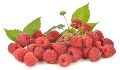 Fresh raspberries