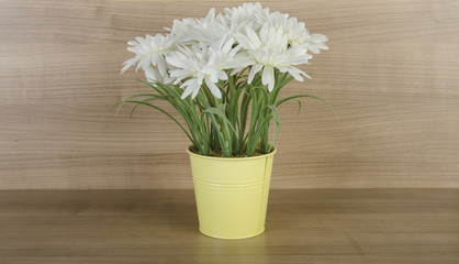 Flowers in the pot against wooden background