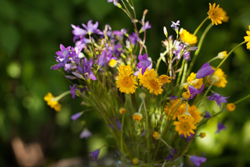 Yellow daisies and bells in a jar