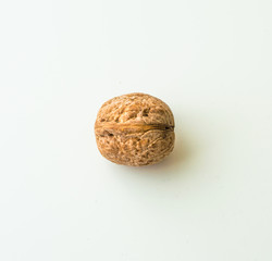 Walnut in shell on a white background