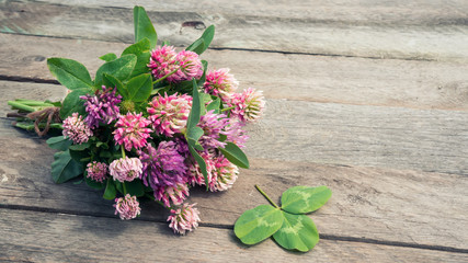 Clover bouquet and green shamrock. Romantic background