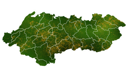 Albania tropical texture map