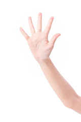 Fototapeta premium hand palm with five fingers, studio isolated