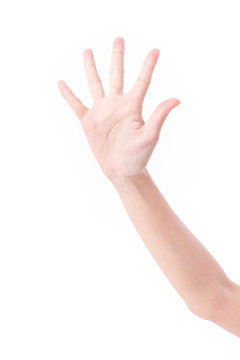 hand palm with five fingers, studio isolated
