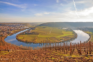 River Neckar - loop in Hessigheim - panorama