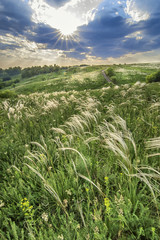 Background with summertime Meadow and country road under the clo