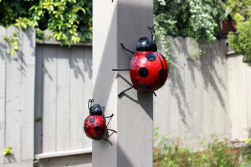 Metal lady bugs climbing post