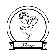 Flowers, floral card 