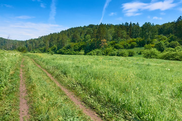 Fototapeta na wymiar Beautiful landscape of a summer day in the reserve Samarskaya L