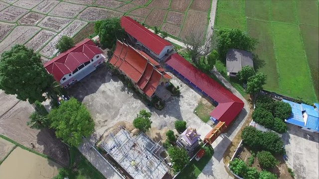 Aerial view temple center with cornfield around