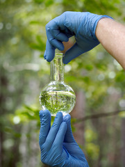 Hands in gloves hold a retort with  transparent liquid.