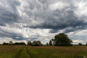 Fototapeta premium Stormy cloudscape over meadow