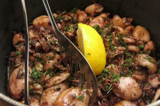 squid served with fresh herbs and lemon