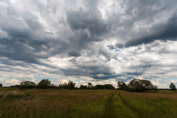 Fototapeta na wymiar Stormy cloudscape over meadow