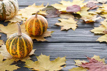 Autumn background with pumpkins and leaves