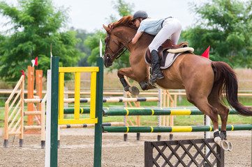 Horse jumping show