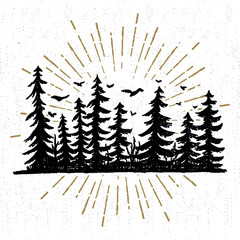 Hand drawn icon with a textured spruce trees vector illustration. © SlothAstronaut